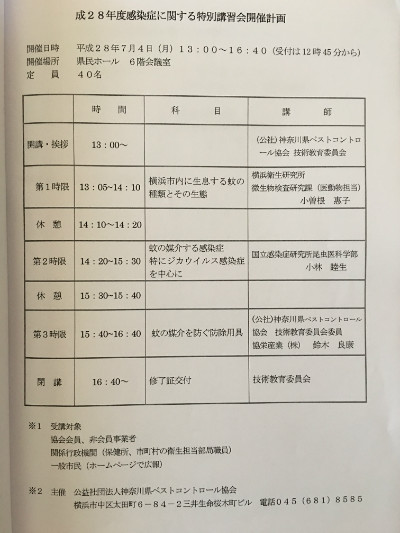 ハチの巣の撤去